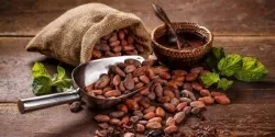 La dulce Guatemala: Una mirada al chocolate maya 