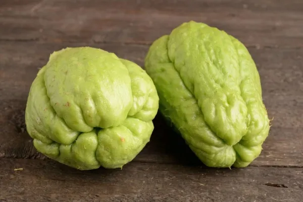 Guisquil, la calabaza mesoamericana